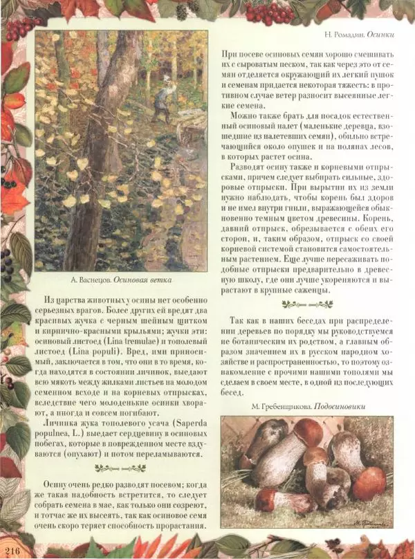 Дмитрий Кайгородов - Беседы о русском лесе - Страница № 216