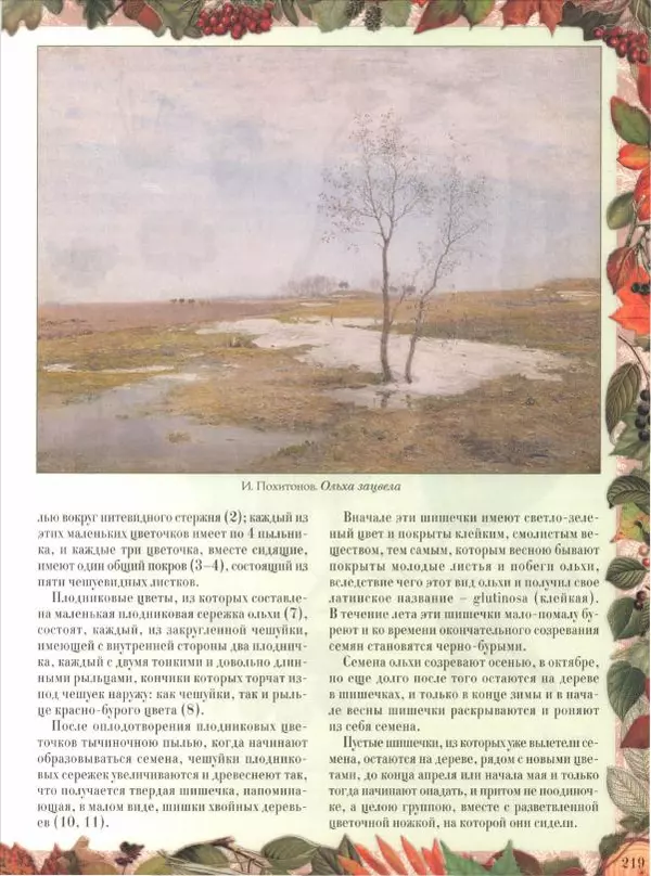 Дмитрий Кайгородов - Беседы о русском лесе - Страница № 219