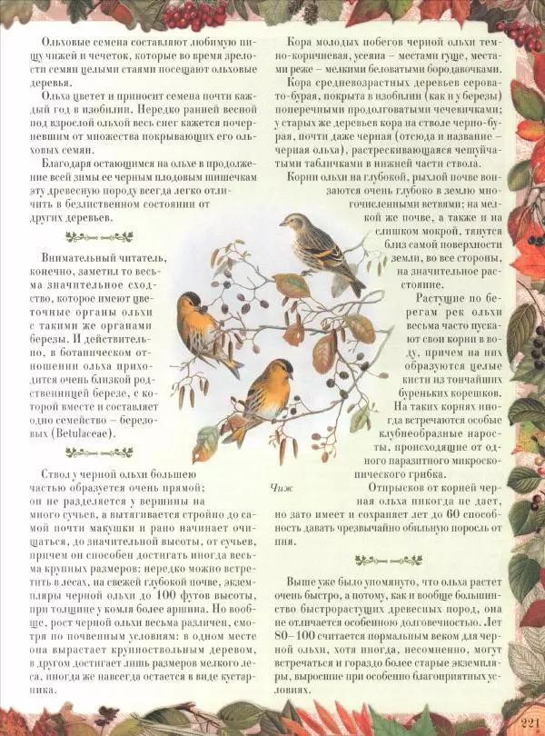 Дмитрий Кайгородов - Беседы о русском лесе - Страница № 221