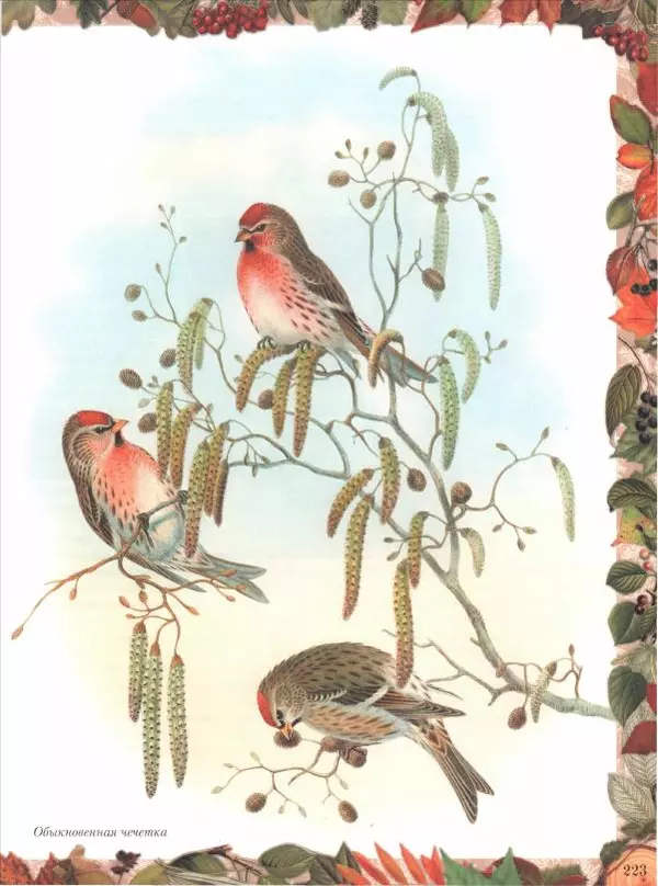 Дмитрий Кайгородов - Беседы о русском лесе - Страница № 223