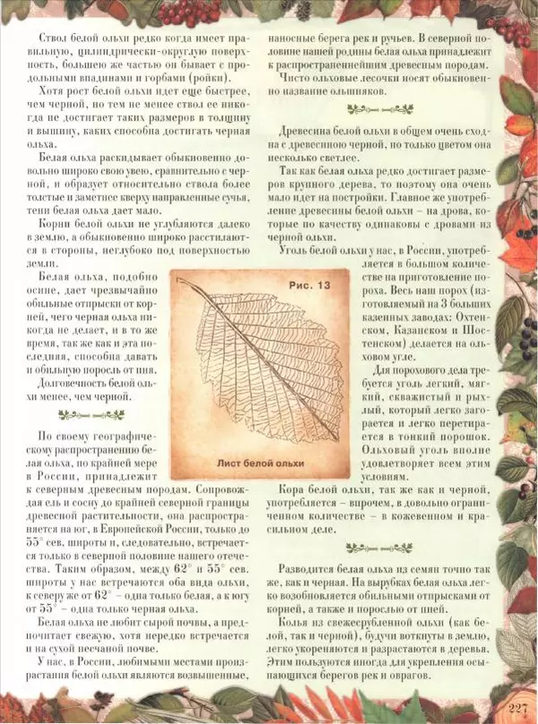 Дмитрий Кайгородов - Беседы о русском лесе - Страница № 227