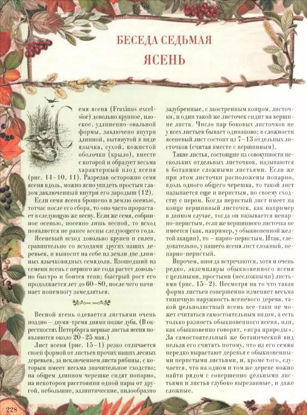 Дмитрий Кайгородов - Беседы о русском лесе - Страница № 228