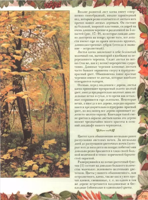 Дмитрий Кайгородов - Беседы о русском лесе - Страница № 239