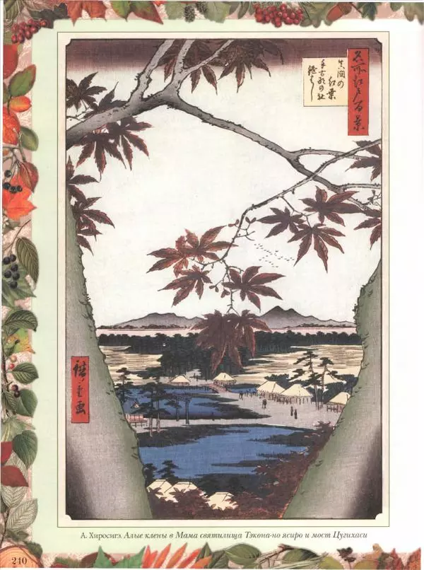 Дмитрий Кайгородов - Беседы о русском лесе - Страница № 240