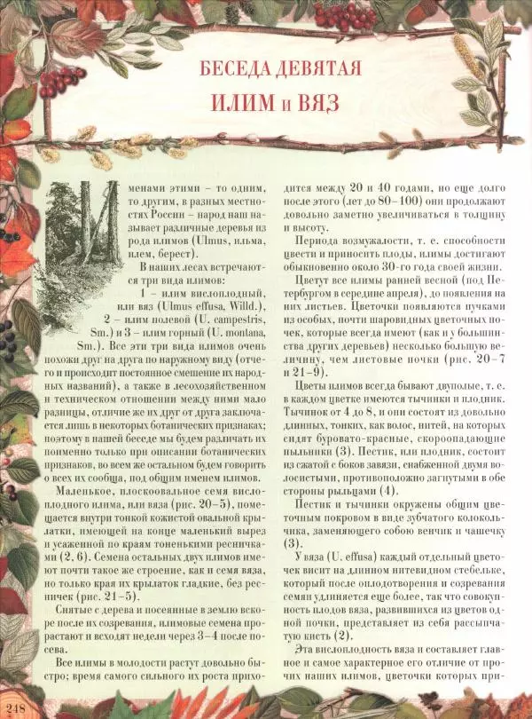 Дмитрий Кайгородов - Беседы о русском лесе - Страница № 248