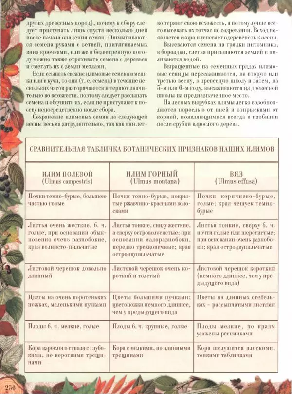 Дмитрий Кайгородов - Беседы о русском лесе - Страница № 256