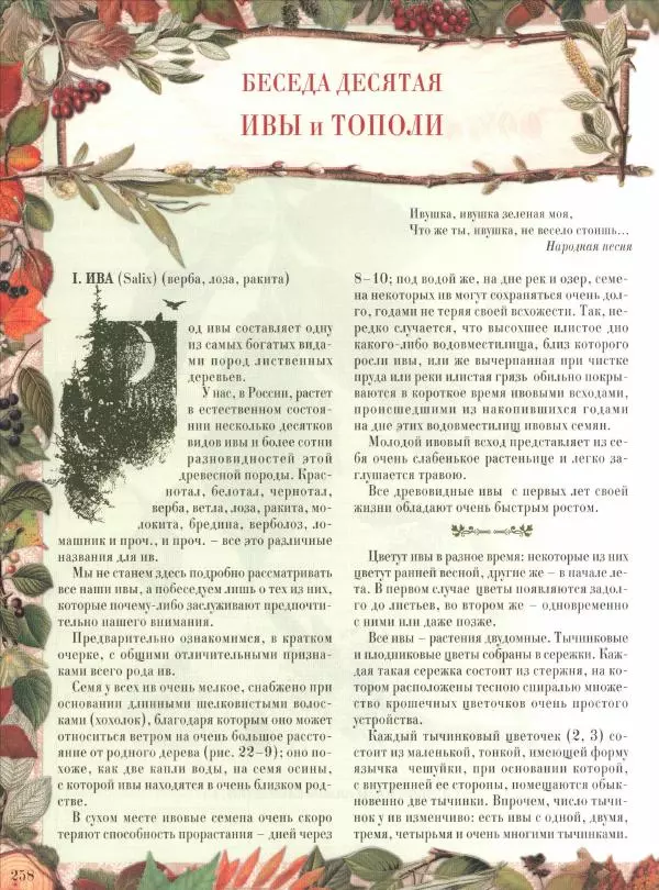 Дмитрий Кайгородов - Беседы о русском лесе - Страница № 258