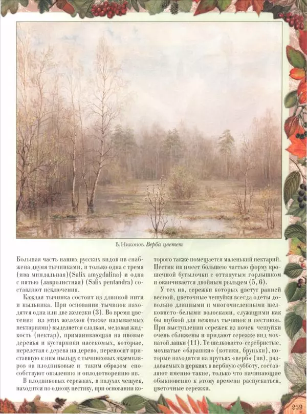 Дмитрий Кайгородов - Беседы о русском лесе - Страница № 259