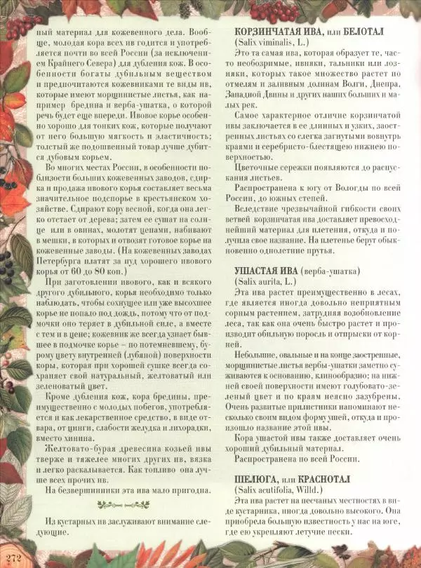Дмитрий Кайгородов - Беседы о русском лесе - Страница № 272