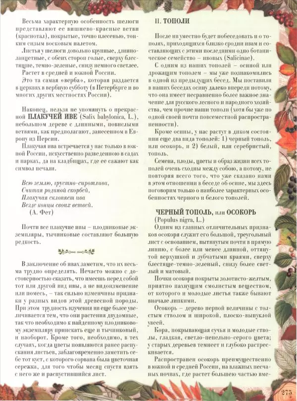 Дмитрий Кайгородов - Беседы о русском лесе - Страница № 275