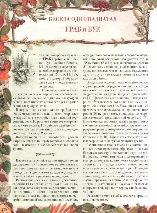 Дмитрий Кайгородов - Беседы о русском лесе - Страница № 278