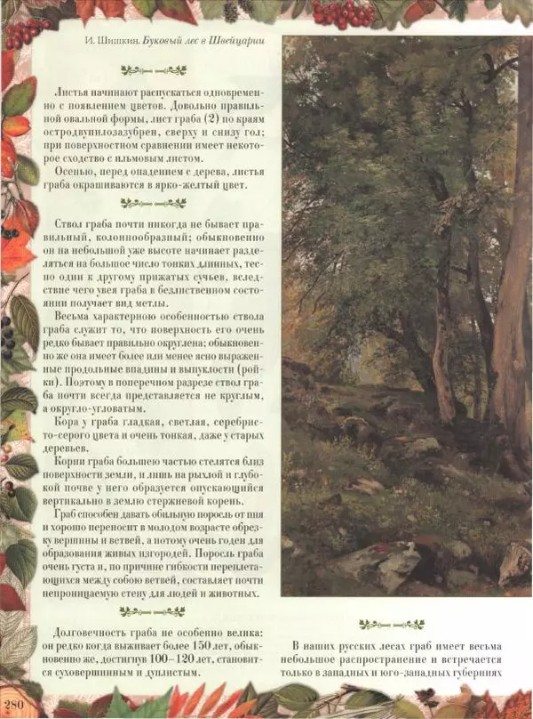 Дмитрий Кайгородов - Беседы о русском лесе - Страница № 280