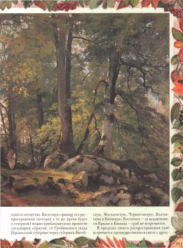 Дмитрий Кайгородов - Беседы о русском лесе - Страница № 281