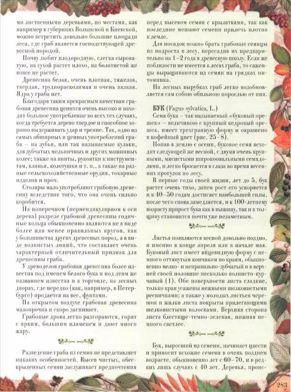 Дмитрий Кайгородов - Беседы о русском лесе - Страница № 283