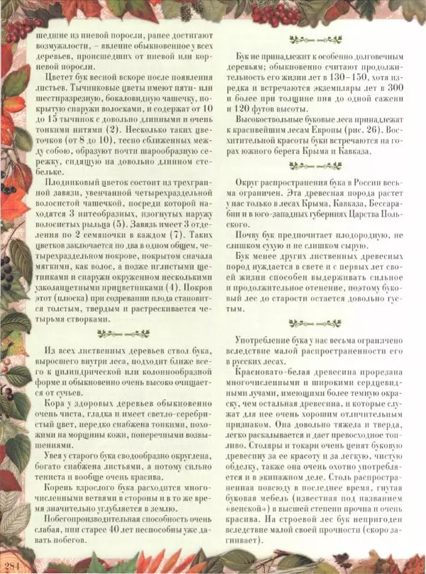 Дмитрий Кайгородов - Беседы о русском лесе - Страница № 284