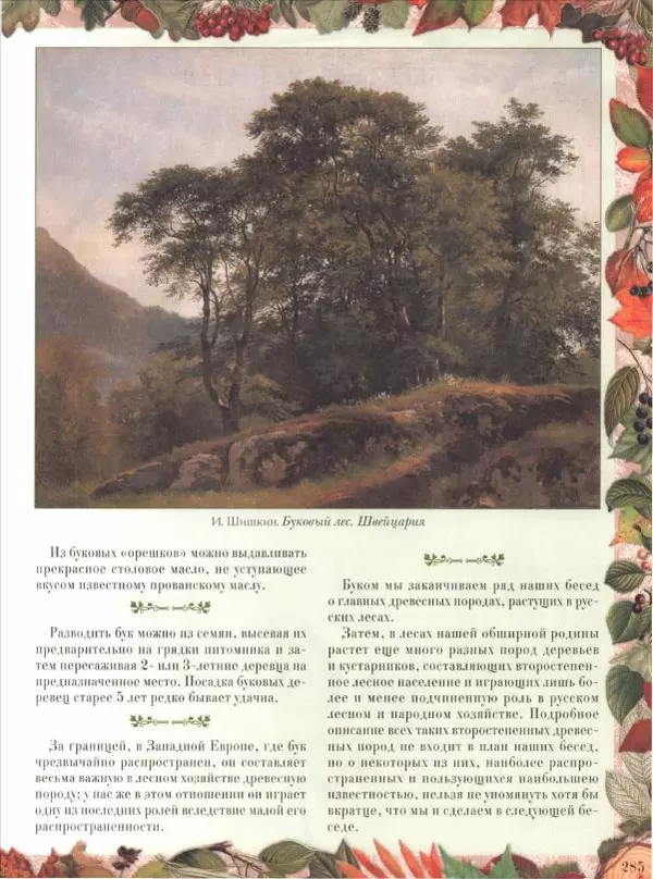 Дмитрий Кайгородов - Беседы о русском лесе - Страница № 285