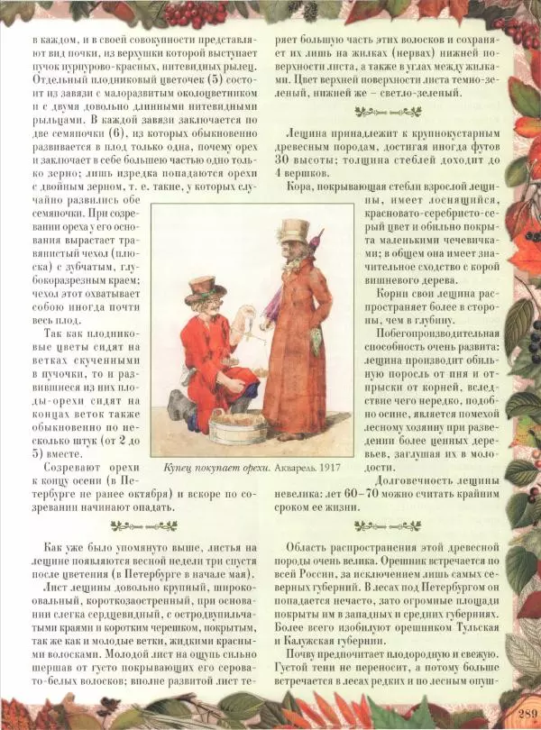 Дмитрий Кайгородов - Беседы о русском лесе - Страница № 289