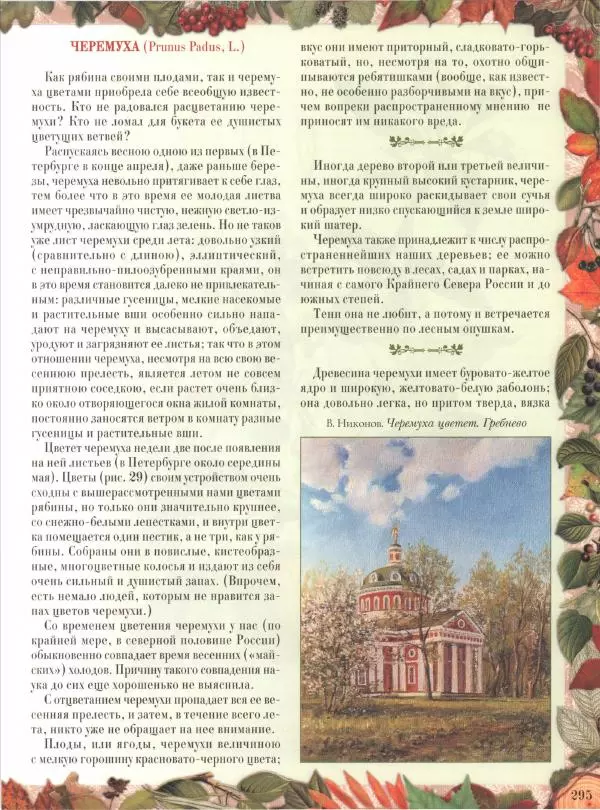 Дмитрий Кайгородов - Беседы о русском лесе - Страница № 295