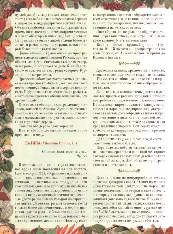 Дмитрий Кайгородов - Беседы о русском лесе - Страница № 298