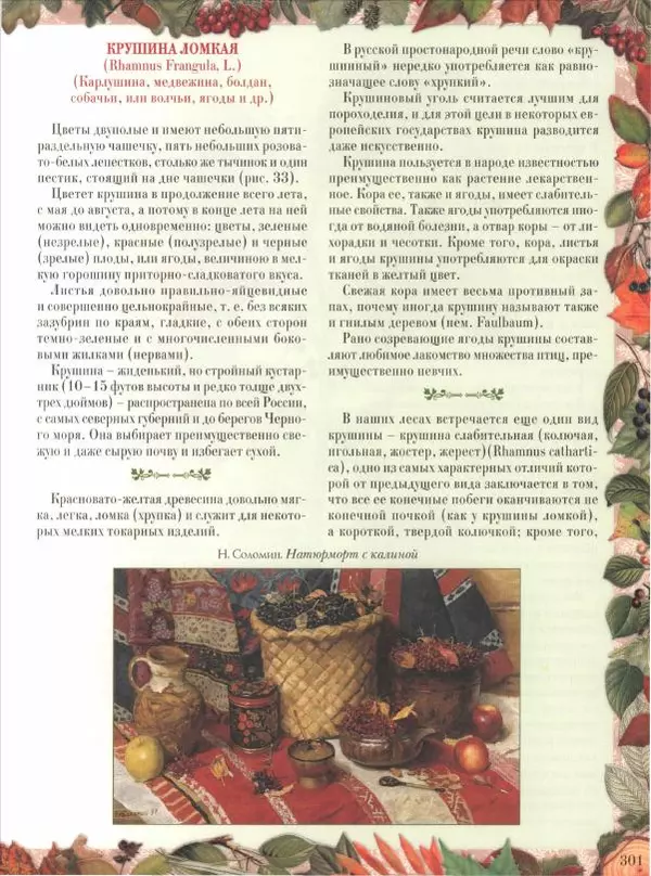 Дмитрий Кайгородов - Беседы о русском лесе - Страница № 301