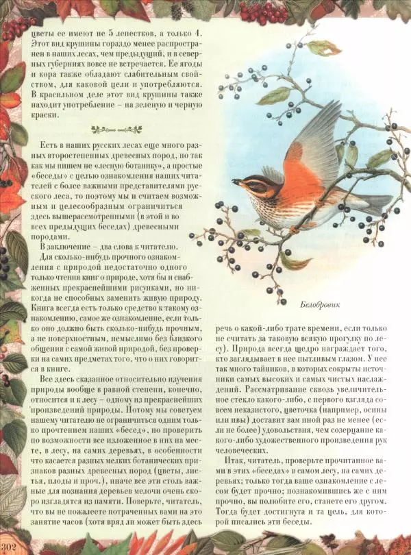 Дмитрий Кайгородов - Беседы о русском лесе - Страница № 302