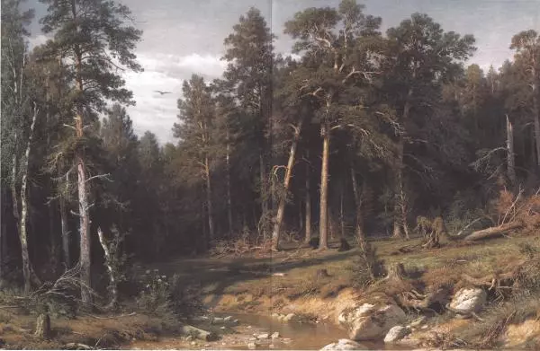 Дмитрий Кайгородов - Беседы о русском лесе - Страница № 307