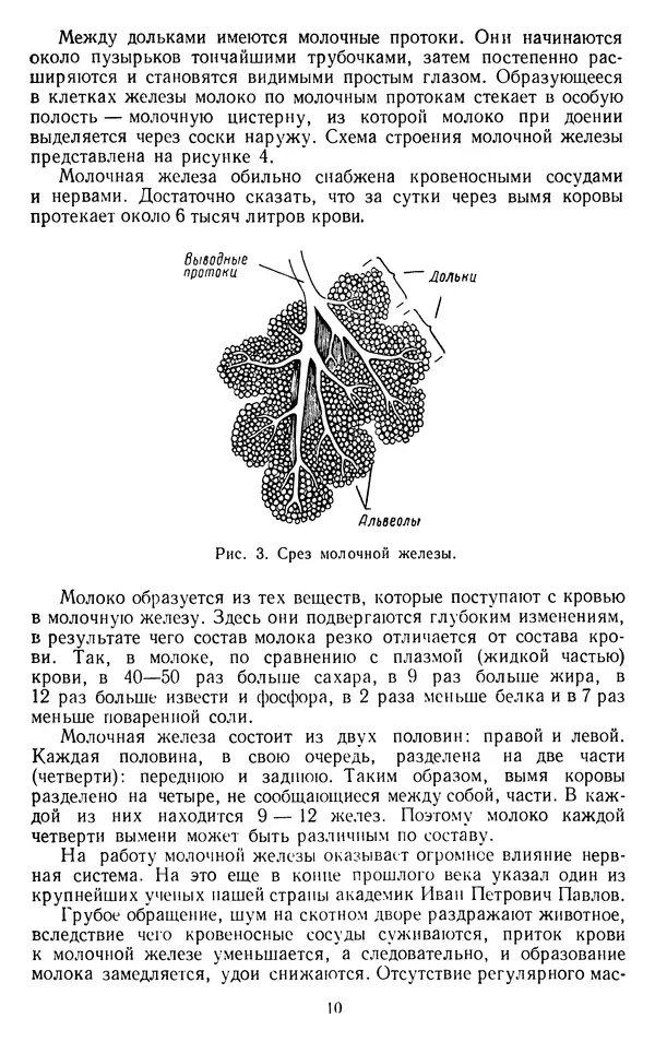 Рубен Давидов - Основы молочного дела - Страница № 10