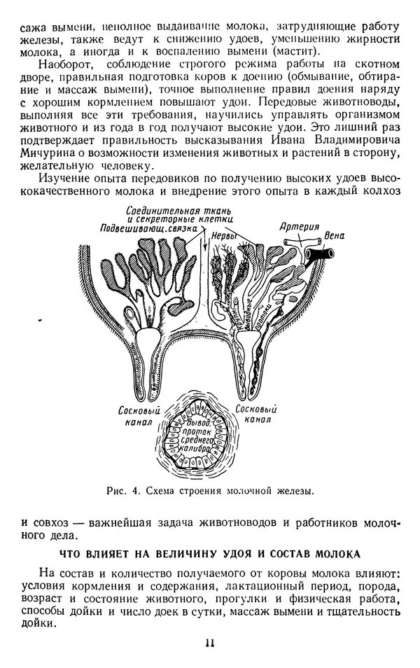 Рубен Давидов - Основы молочного дела - Страница № 11