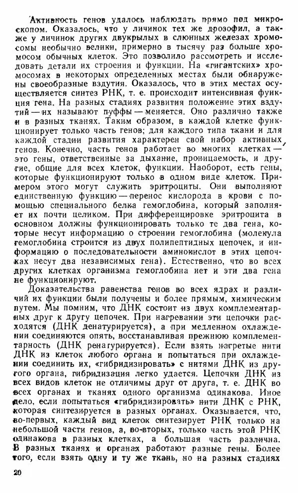 Александр Нейфах - Генетические основы развития - Страница № 21