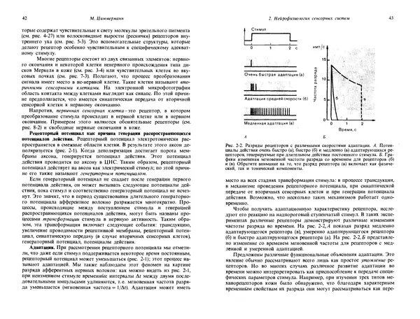  Коллектив авторов - Основы сенсорной физиологии - Страница № 22