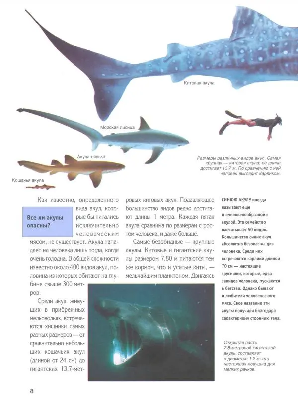 Витус Дрешер - Акулы и скаты - Страница № 13