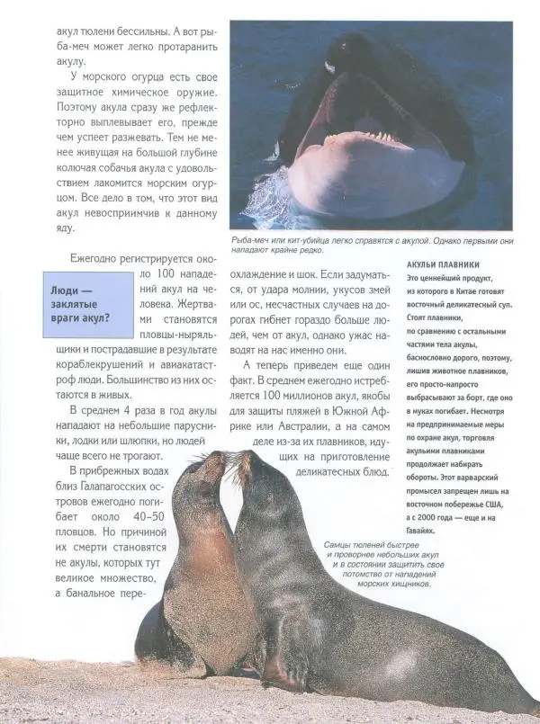 Витус Дрешер - Акулы и скаты - Страница № 33