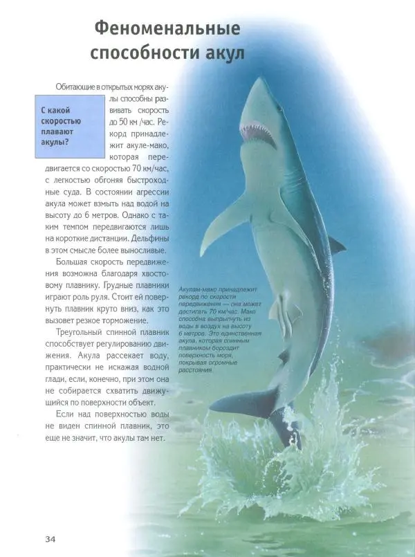Витус Дрешер - Акулы и скаты - Страница № 39