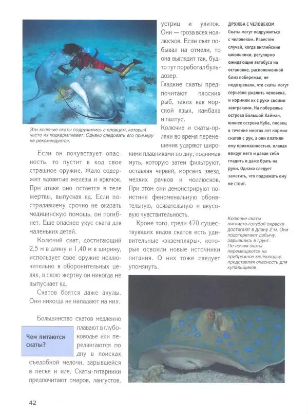 Витус Дрешер - Акулы и скаты - Страница № 47