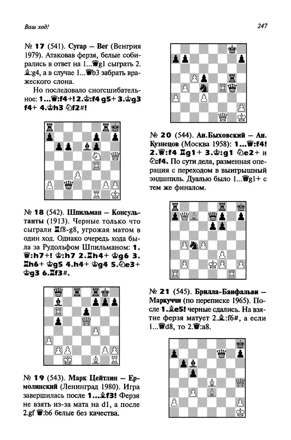 Яков Нейштадт - Когда не жаль ферзя - Страница № 249