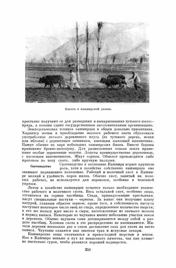  Коллектив авторов - Народы Южной Азии. Индия, Пакистан, Непал, Сикким, Бутан, Цейлон и Мальдивские острова - Страница № 355