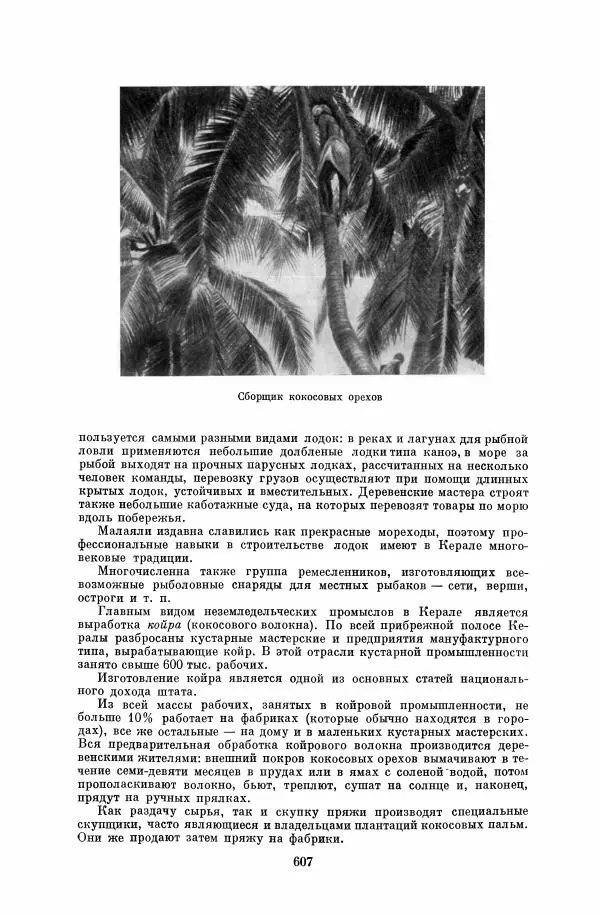  Коллектив авторов - Народы Южной Азии. Индия, Пакистан, Непал, Сикким, Бутан, Цейлон и Мальдивские острова - Страница № 613