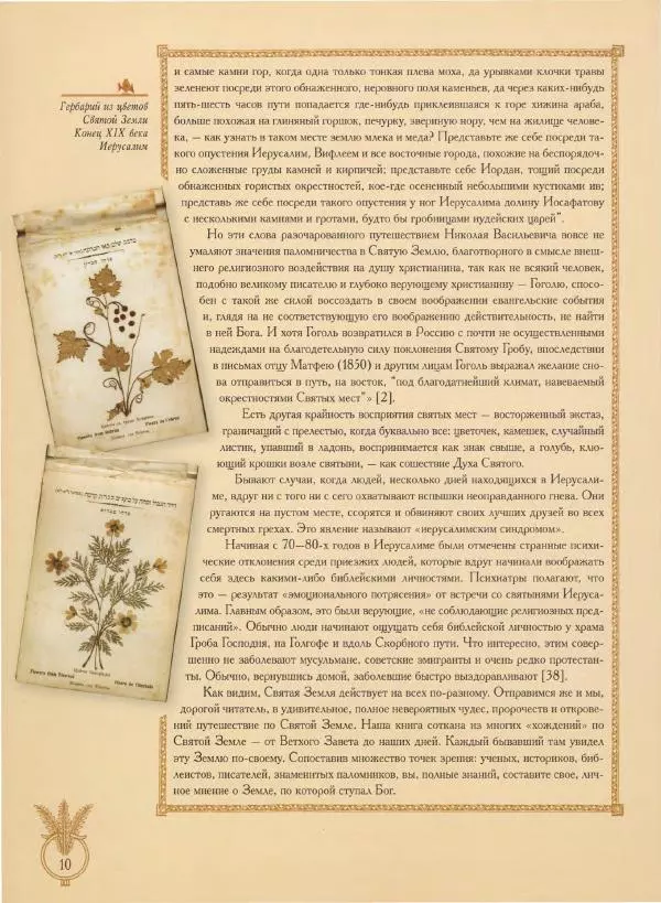 Георгий Юдин - Хождения на Святую Землю - Страница № 11