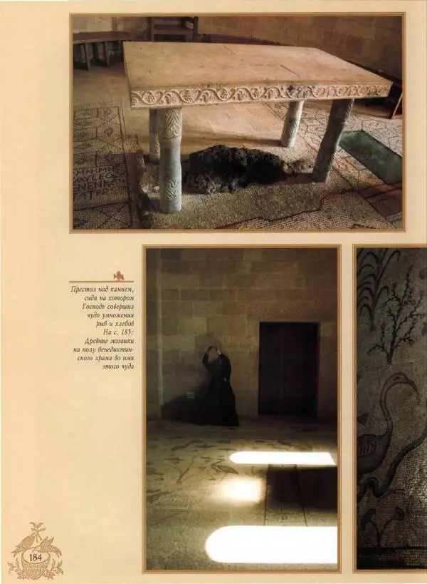 Георгий Юдин - Хождения на Святую Землю - Страница № 201