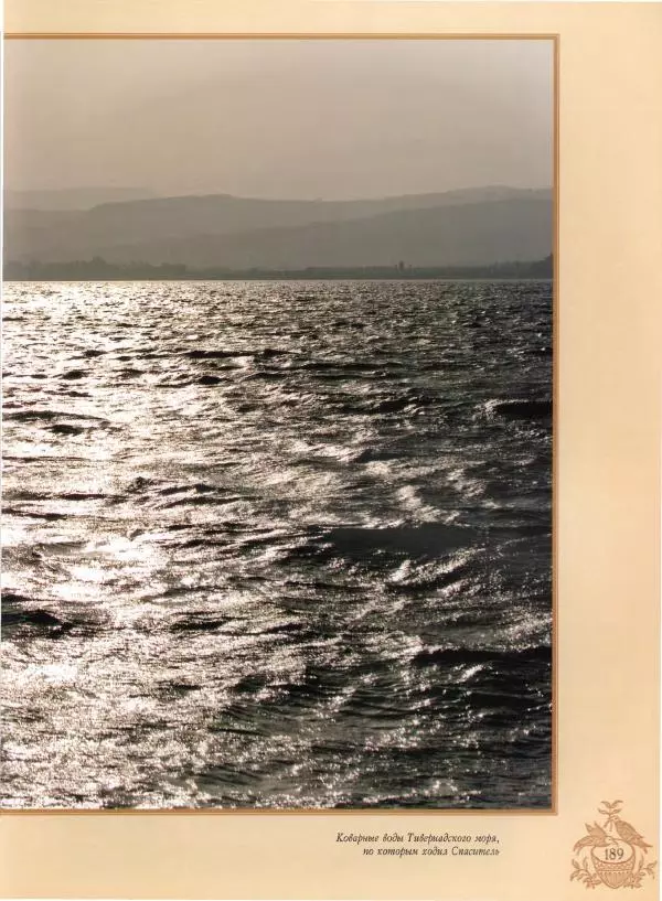 Георгий Юдин - Хождения на Святую Землю - Страница № 206