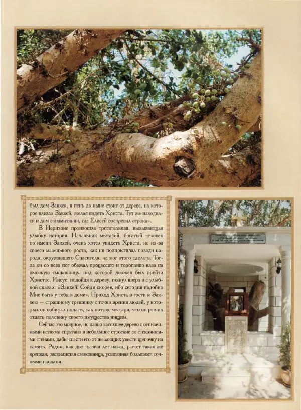 Георгий Юдин - Хождения на Святую Землю - Страница № 218