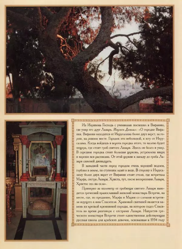 Георгий Юдин - Хождения на Святую Землю - Страница № 219