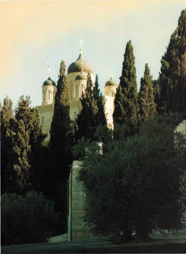 Георгий Юдин - Хождения на Святую Землю - Страница № 444