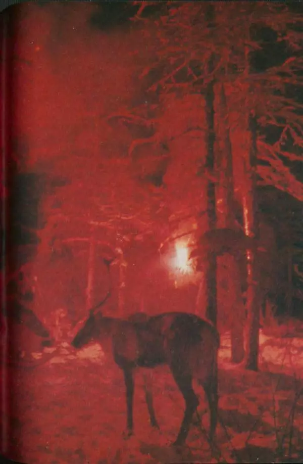  дайджест «Спутник» - Спутник 1991 №1 январь - Страница № 73