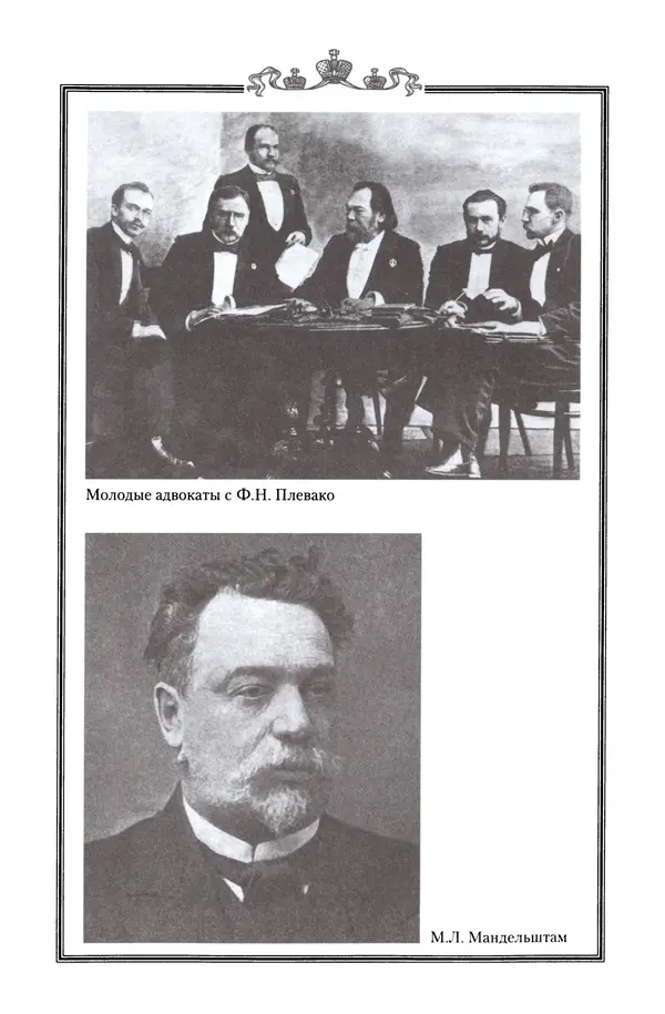 Николай Троицкий - Корифеи российской адвокатуры - Страница № 399