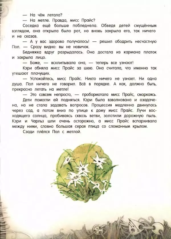 Мэри Нортон - Метла и металлический шарик - Страница № 15