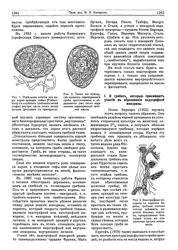  журнал «Природа» - Природа 1915 №11 - Страница № 34