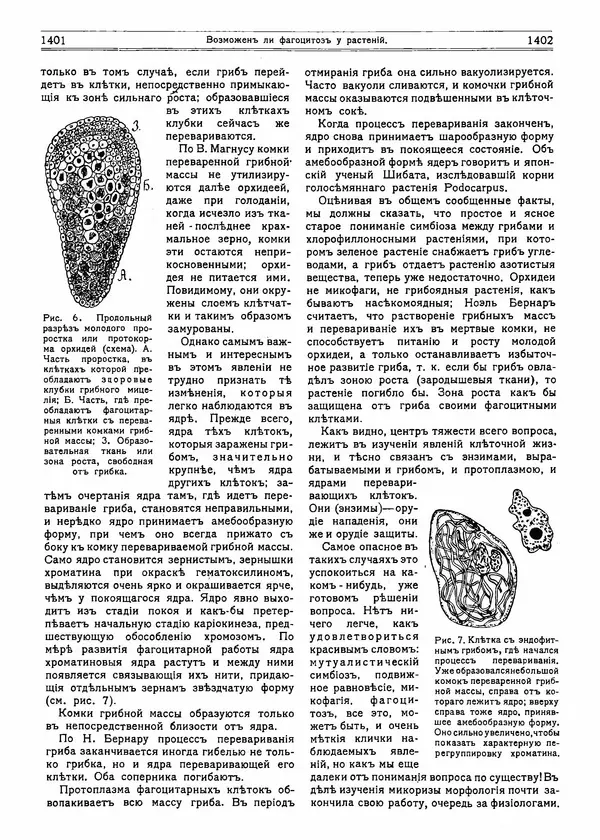  журнал «Природа» - Природа 1915 №11 - Страница № 39