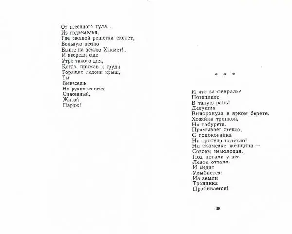 Эльмира Котляр - Ветка - Страница № 21