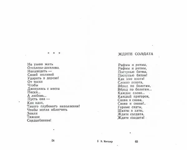 Эльмира Котляр - Ветка - Страница № 34